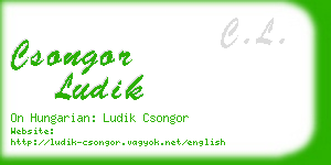 csongor ludik business card